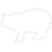 icon-cali-bear