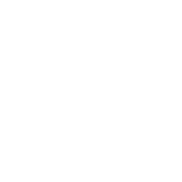 icon-ps4